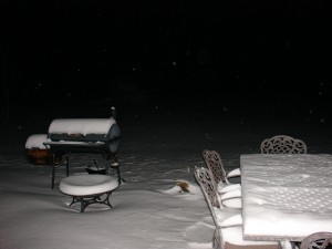 The Snowy Back Yard
